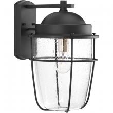  P560067-031 - Holcombe Large Wall Lantern