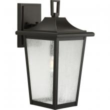  P560309-020 - Padgett Collection One-Light Transitional Antique Bronze Clear Seeded Glass Outdoor Wall Lantern