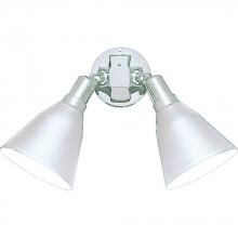  P5203-30 - Two-Light Adjustable Swivel Flood Light