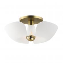  11399WTSBR - Poppy-Flush Mount