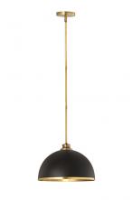  1004P14-MB-RB - 1 Light Pendant