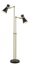  728FL-MB-HBR - 2 Light Floor Lamp