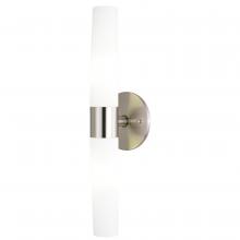  W0458 - Elliot 20.5-in. 2 Light Wall Light Satin Nickel