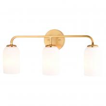  W0484 - Shelby 23-in. 3 Light Vanity Natural Brass