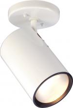  SF76/418 - 1 Light - R30 Step Cylinder - White Finish